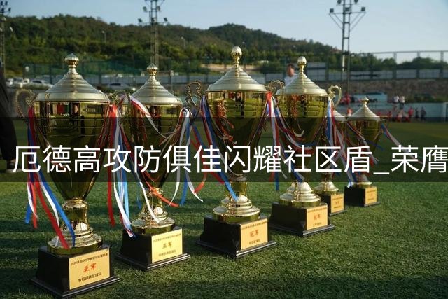 厄德高攻防俱佳闪耀社区盾 荣膺决赛MVP助枪手捧杯