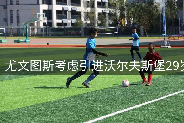尤文图斯考虑引进沃尔夫斯堡29岁后卫梅勒