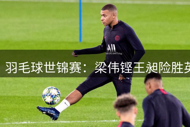 羽毛球世锦赛：梁伟铿/王昶险胜英格兰组合晋级16强