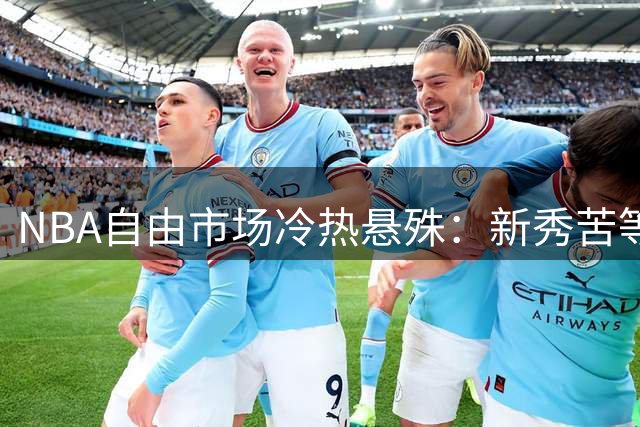 NBA自由市场冷热悬殊：新秀苦等高薪，老将面临失业危机